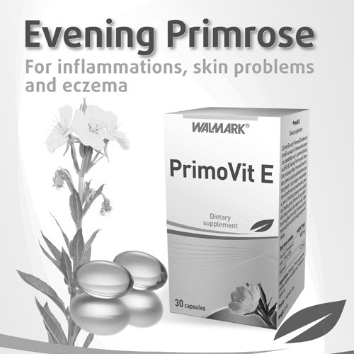 Brožura Evening Primrose